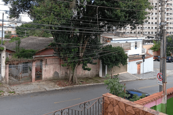 Moradores temem queda de árvore no Alves Dias, em São Bernardo moradores-temem-queda-de-arvore-no-alves-dias,-em-sao-bernardo
