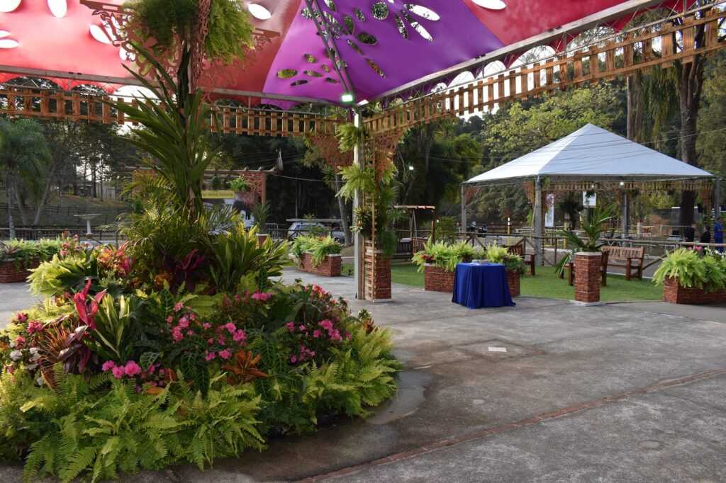 festa-das-orquideas-de-varzea-paulista,-um-espetaculo-de-cores,-aromas-e-shows