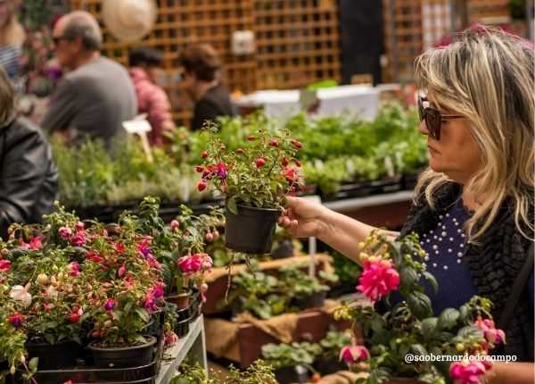 São Bernardo promove Festival da Primavera e das Flores no final de semana sao-bernardo-promove-festival-da-primavera-e-das-flores-no-fim-de-semana