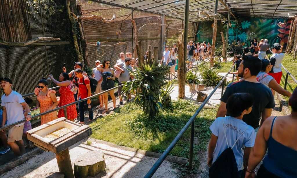 Zoológico de São Bernardo celebra 40 anos com referência em reabilitação de animais zoologico-de-sao-bernardo-celebra-40-anos-com-referencia-em-reabilitacao-de-animais