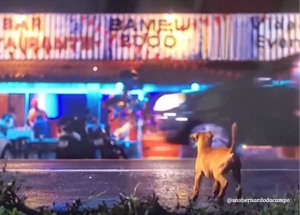 novo-filme-‘caramelo’-da-netflix-tem-cenas-gravadas-em-sao-bernardo