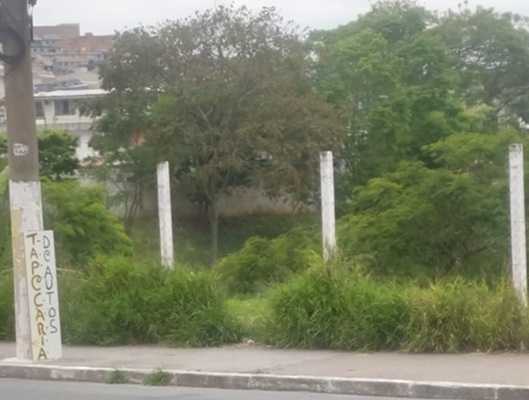sp-diz-que-piscinoes-estao-em-dia,-mas-moradores-e-biologa-apontam-problemas