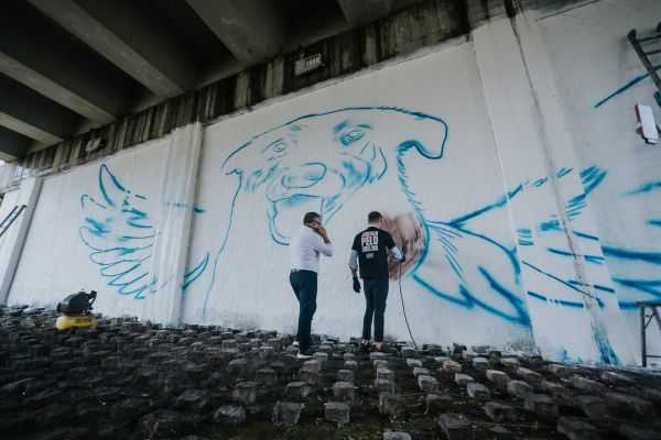 Grafitando SBC presta homenagem ao cão Orelha no Jd.Chácara Inglesa grafitando-sbc-presta-homenagem-ao-cao-orelha-no-jd.chacara-inglesa