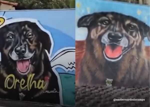 Murais em São Bernardo prestam homenagem ao cão Orelha murais-em-sao-bernardo-prestam-homenagem-ao-cao-orelha